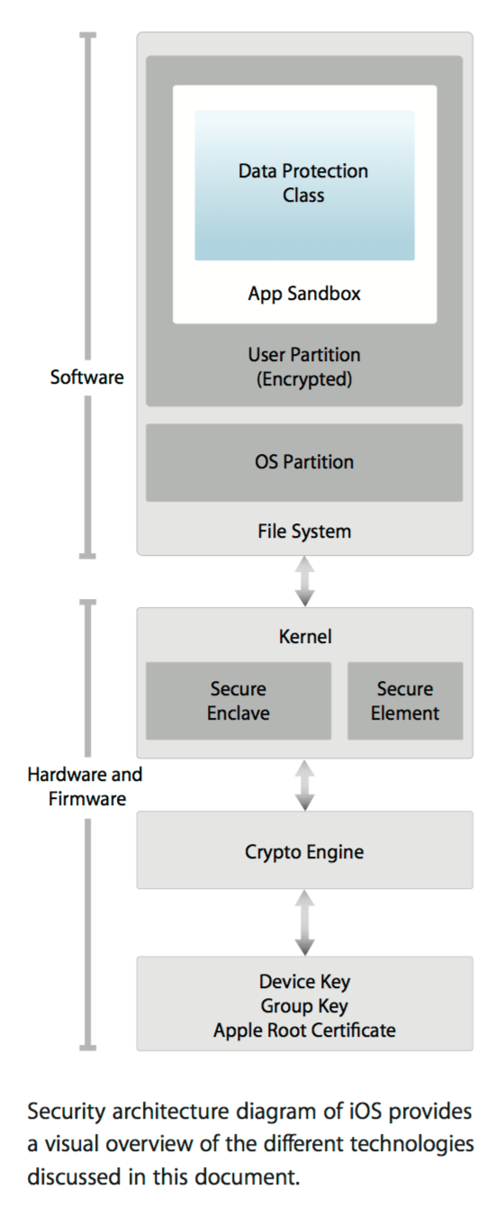 iPhone security system begins with the hardware