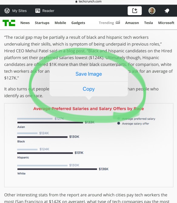 Confusing choices on an image menu on Safari on the iPad