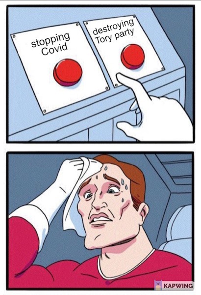 Daily Struggle: stop Covid or destroy Tories?